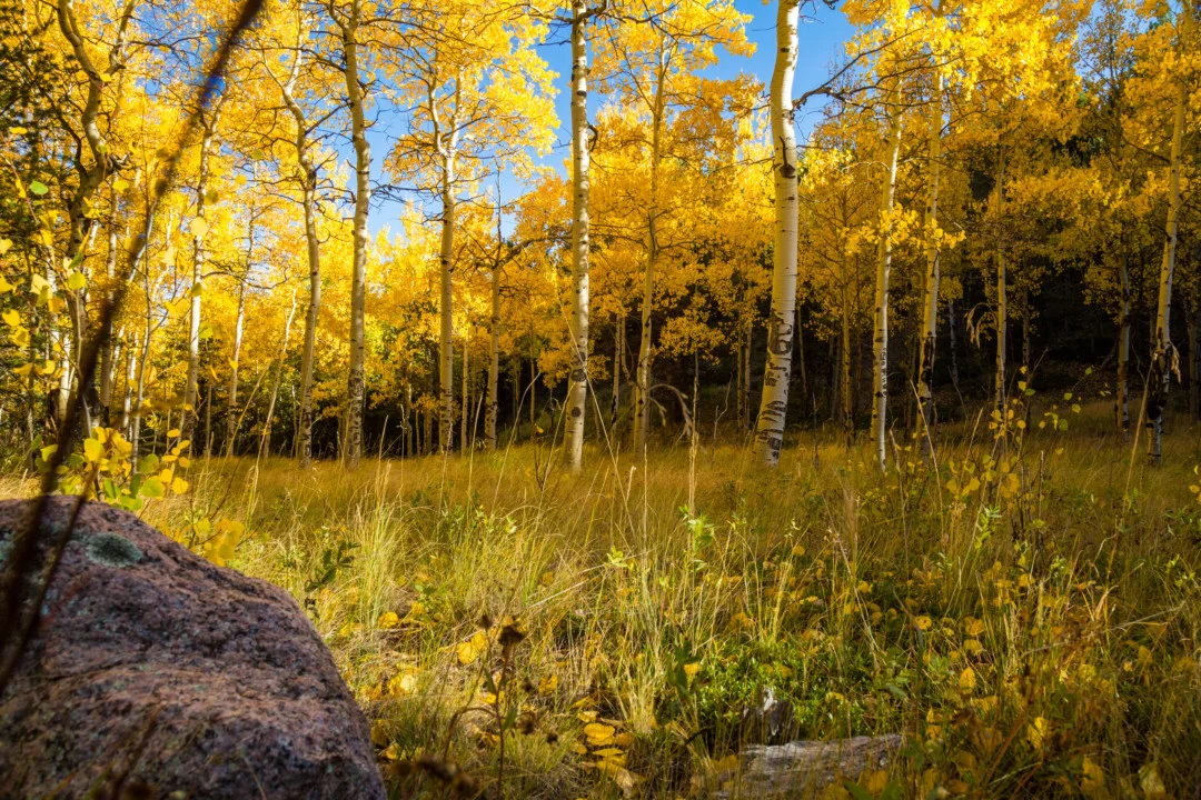 jenniferdobsonphotography126.jpg