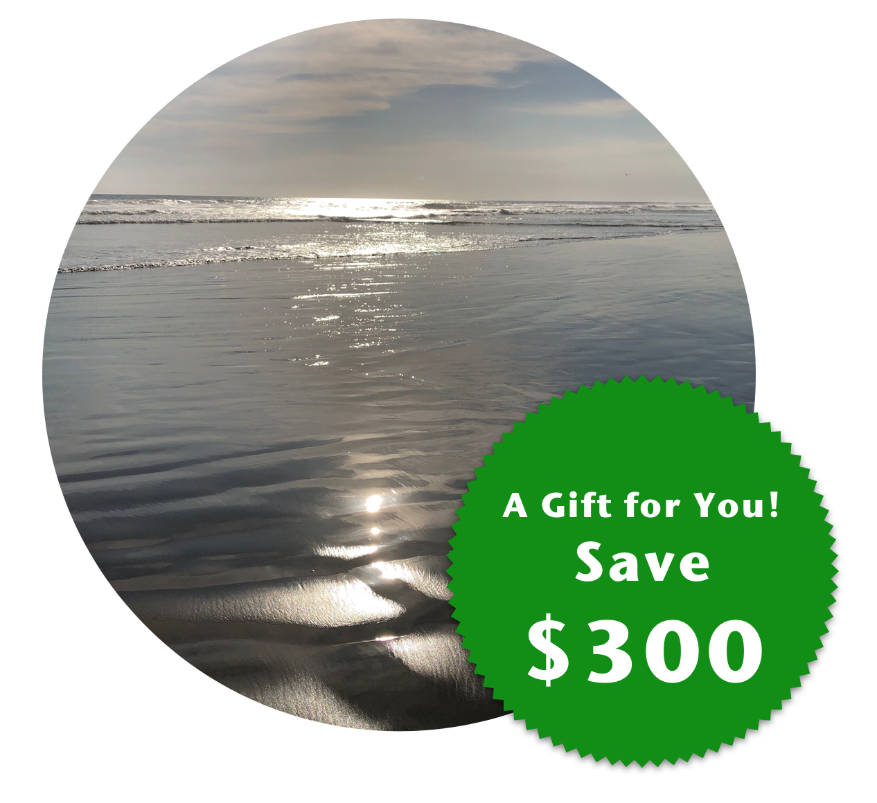 Screen Shot 2019-12-11 at 12.49.06 PM.png