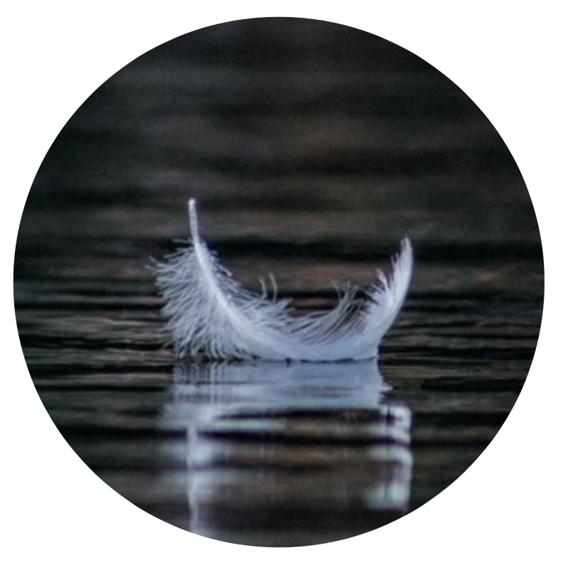 feather on water