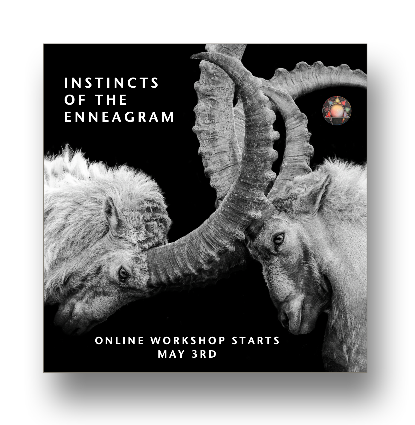 Instinctual Subtypes of the Enneagram