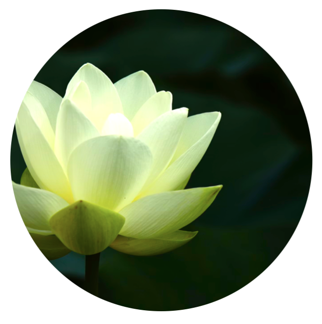 The Enneagram of Karma - 3 Evening Study Group