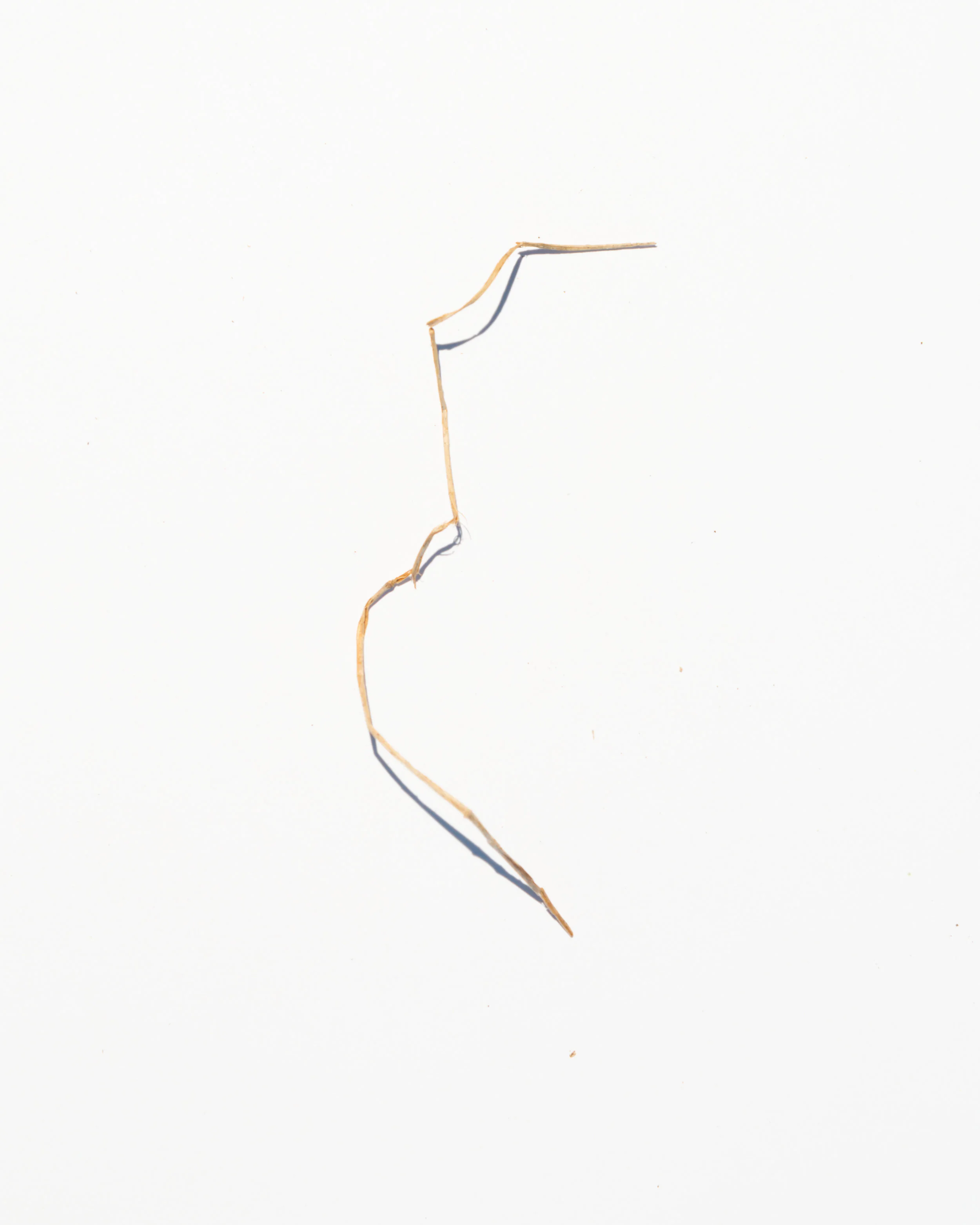 bits-20.jpg