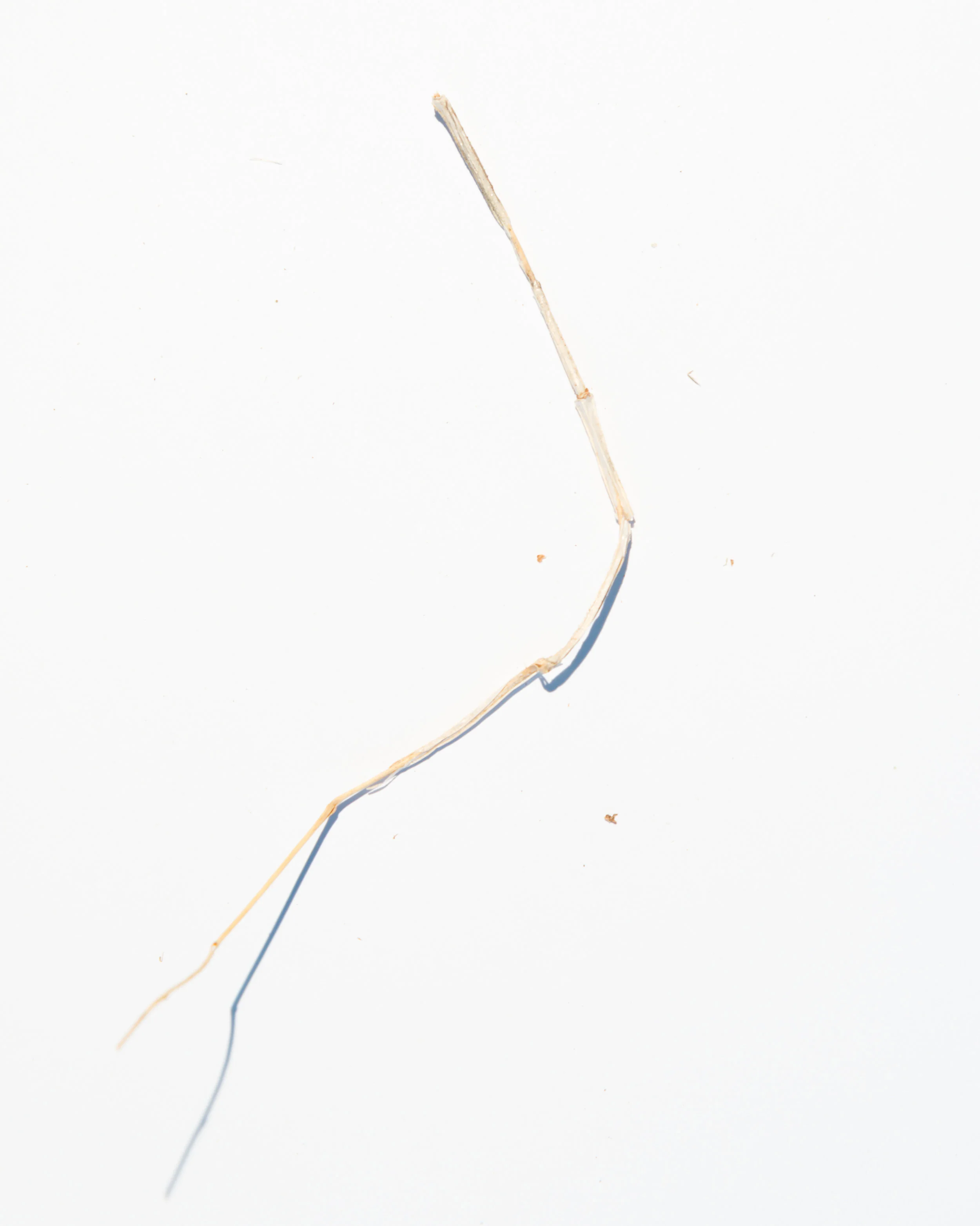 bits-19.jpg