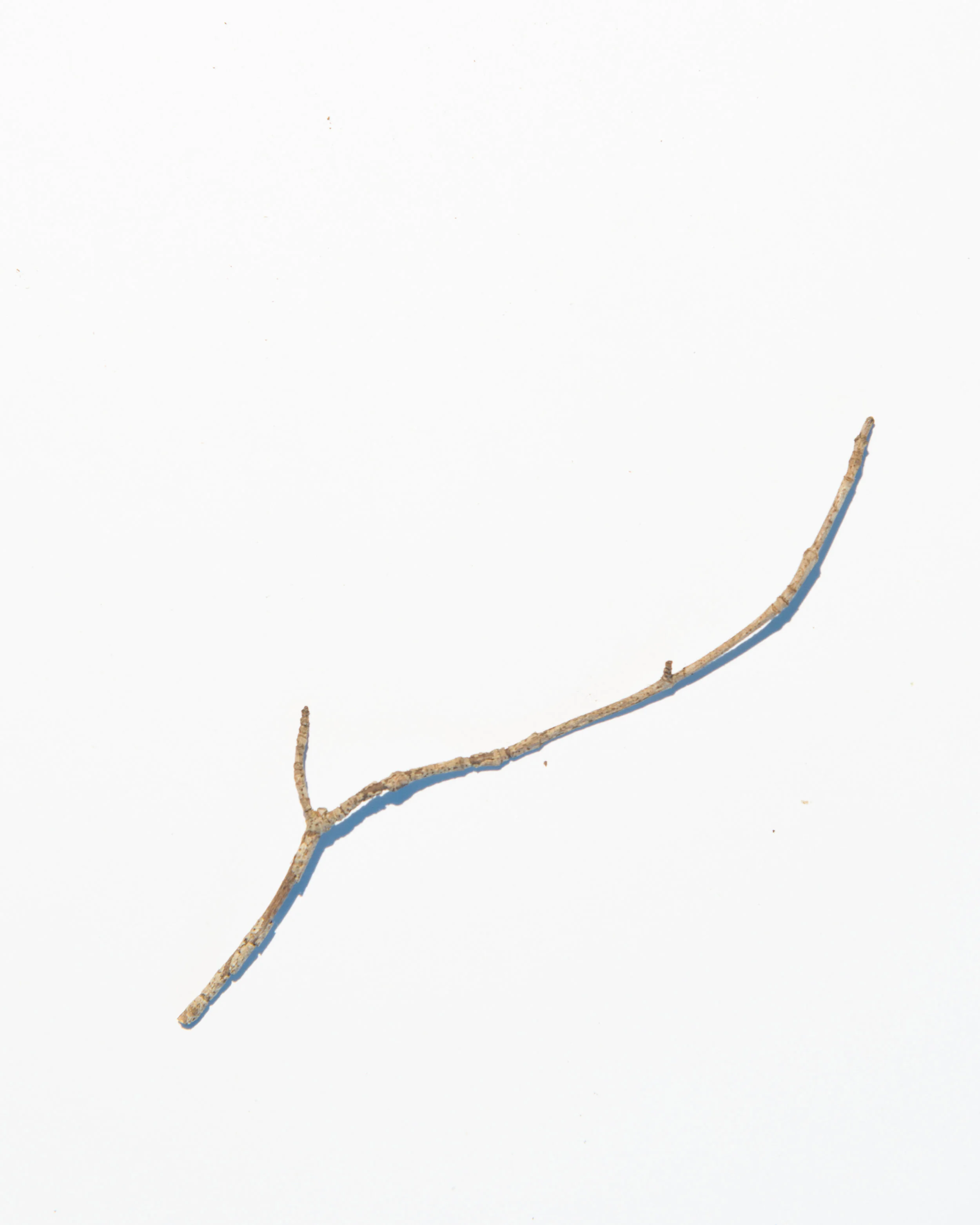 bits-17.jpg