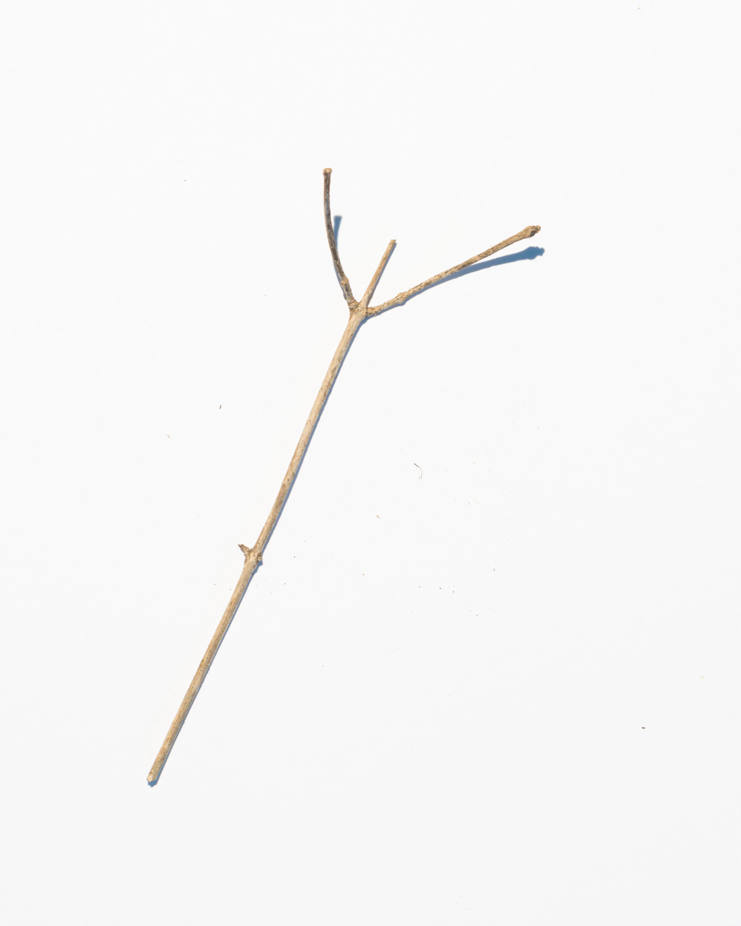bits-9.jpg