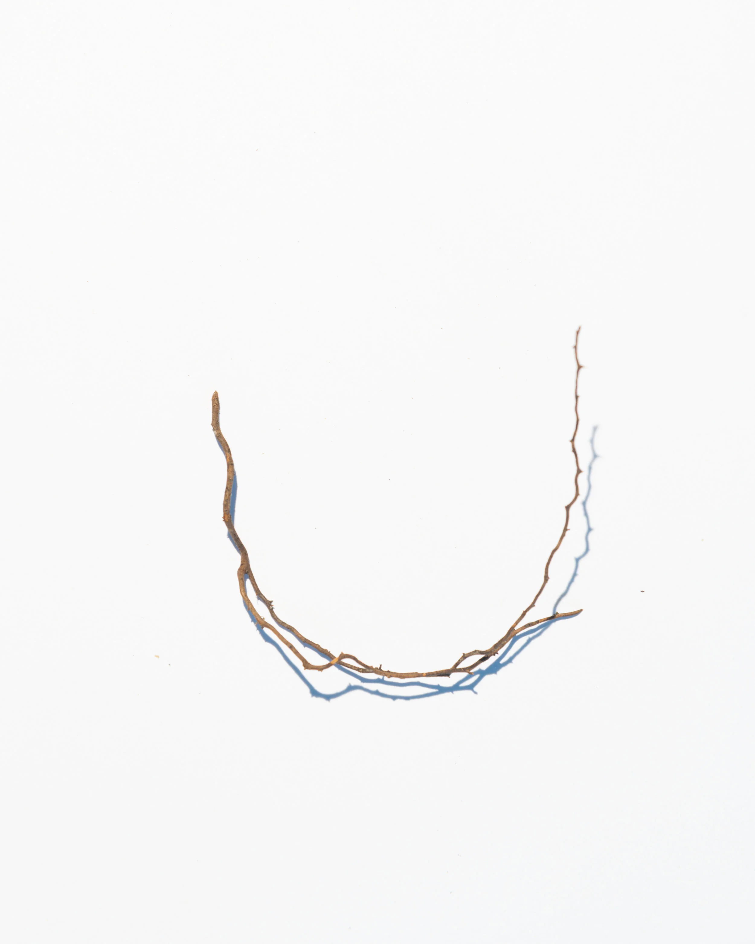 bits-4.jpg