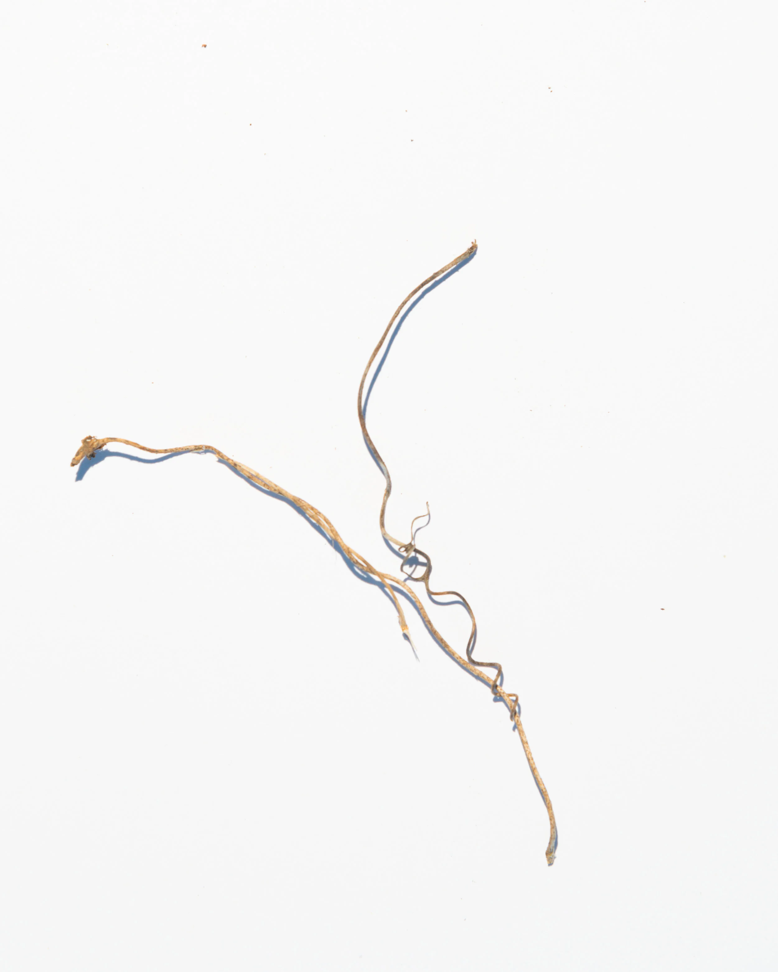 bits-3.jpg