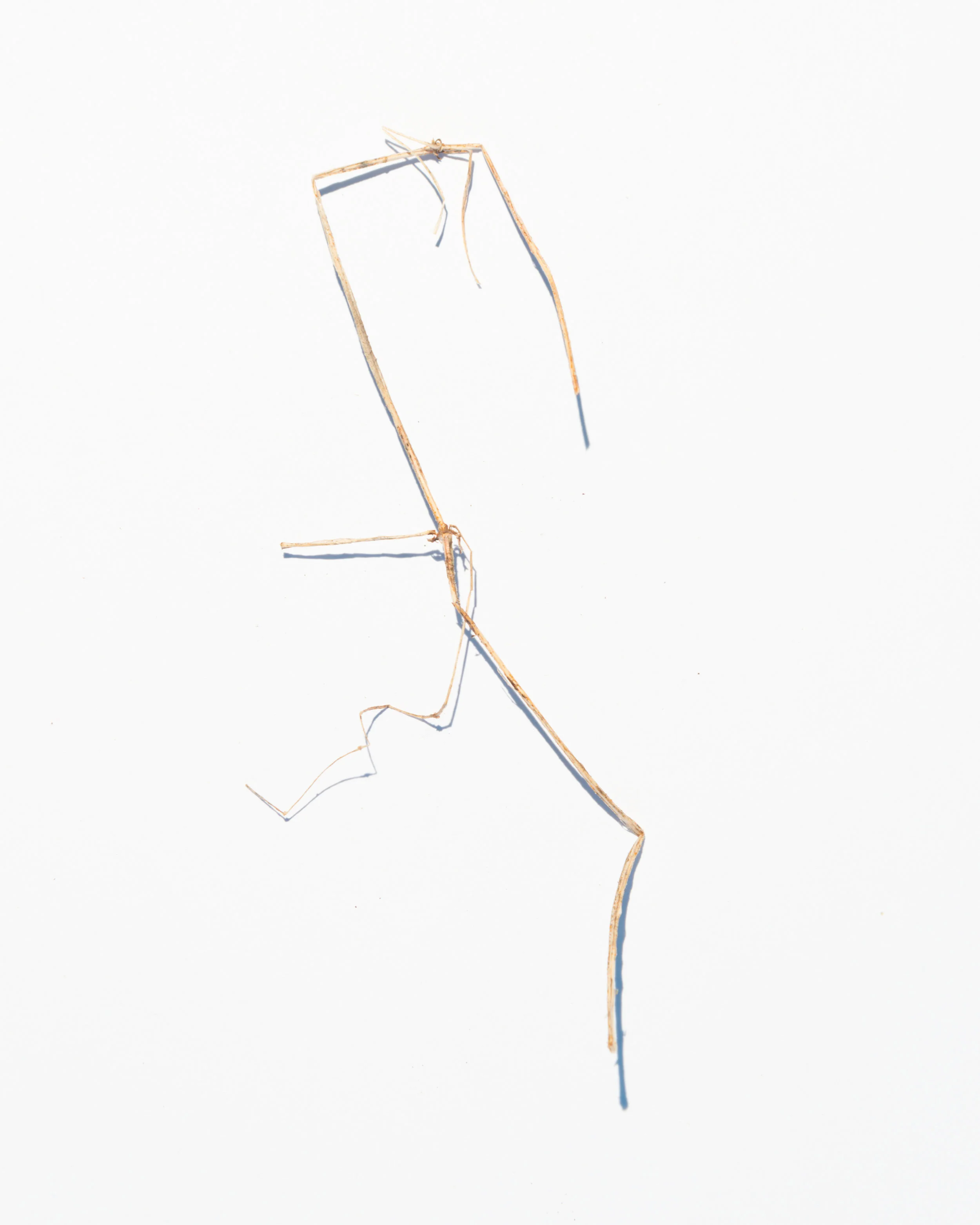 bits-2.jpg