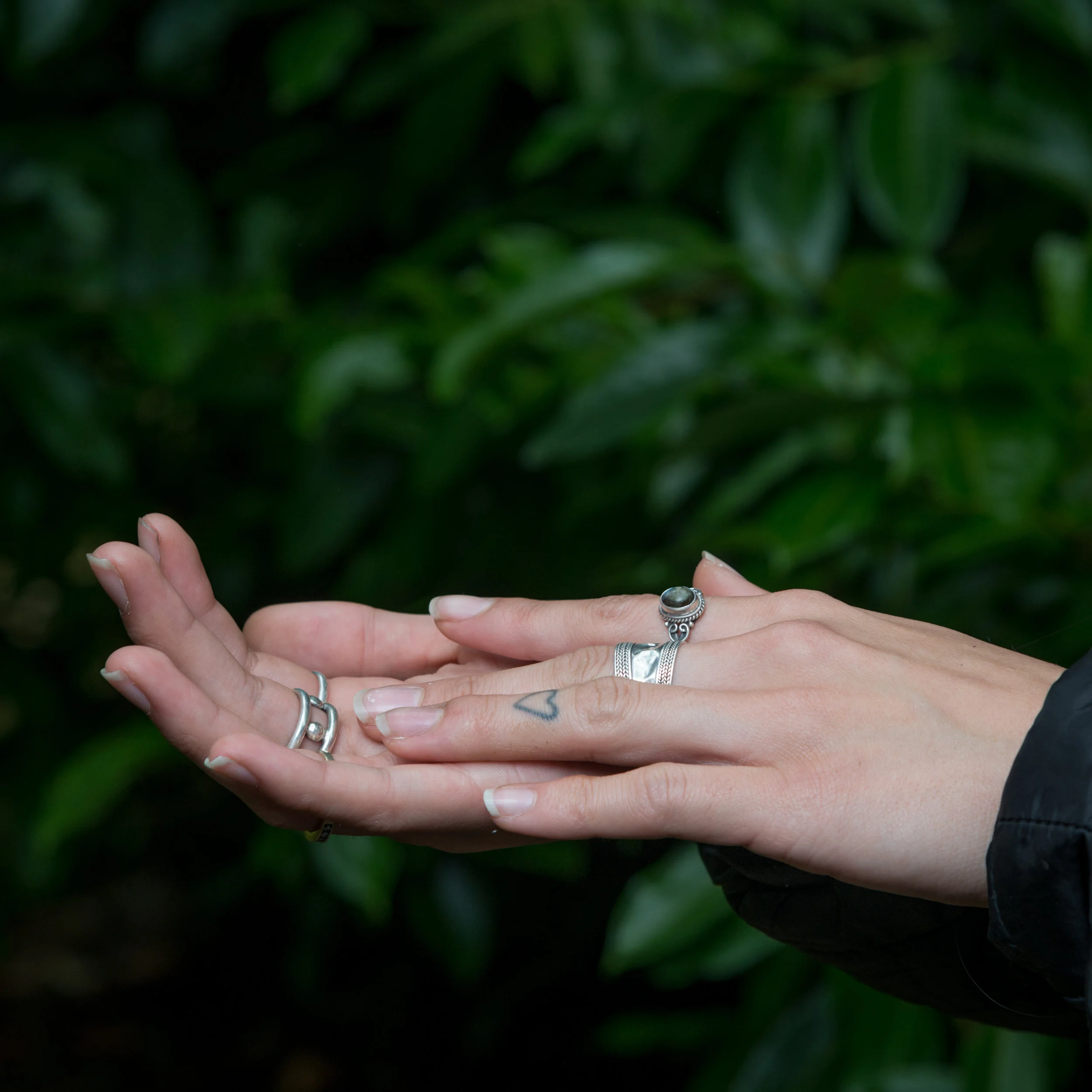 birdhand-5.jpg