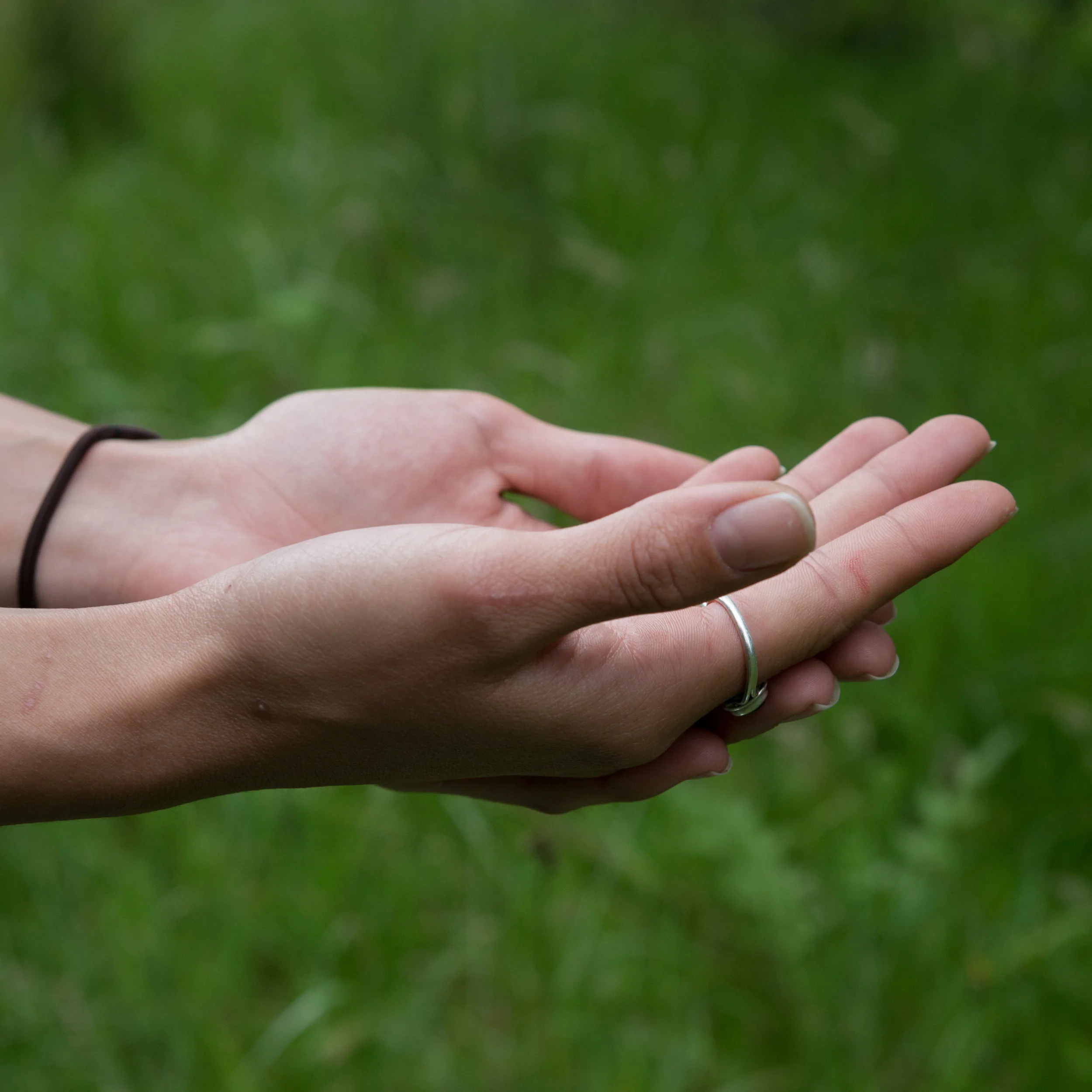 birdhand-3.jpg