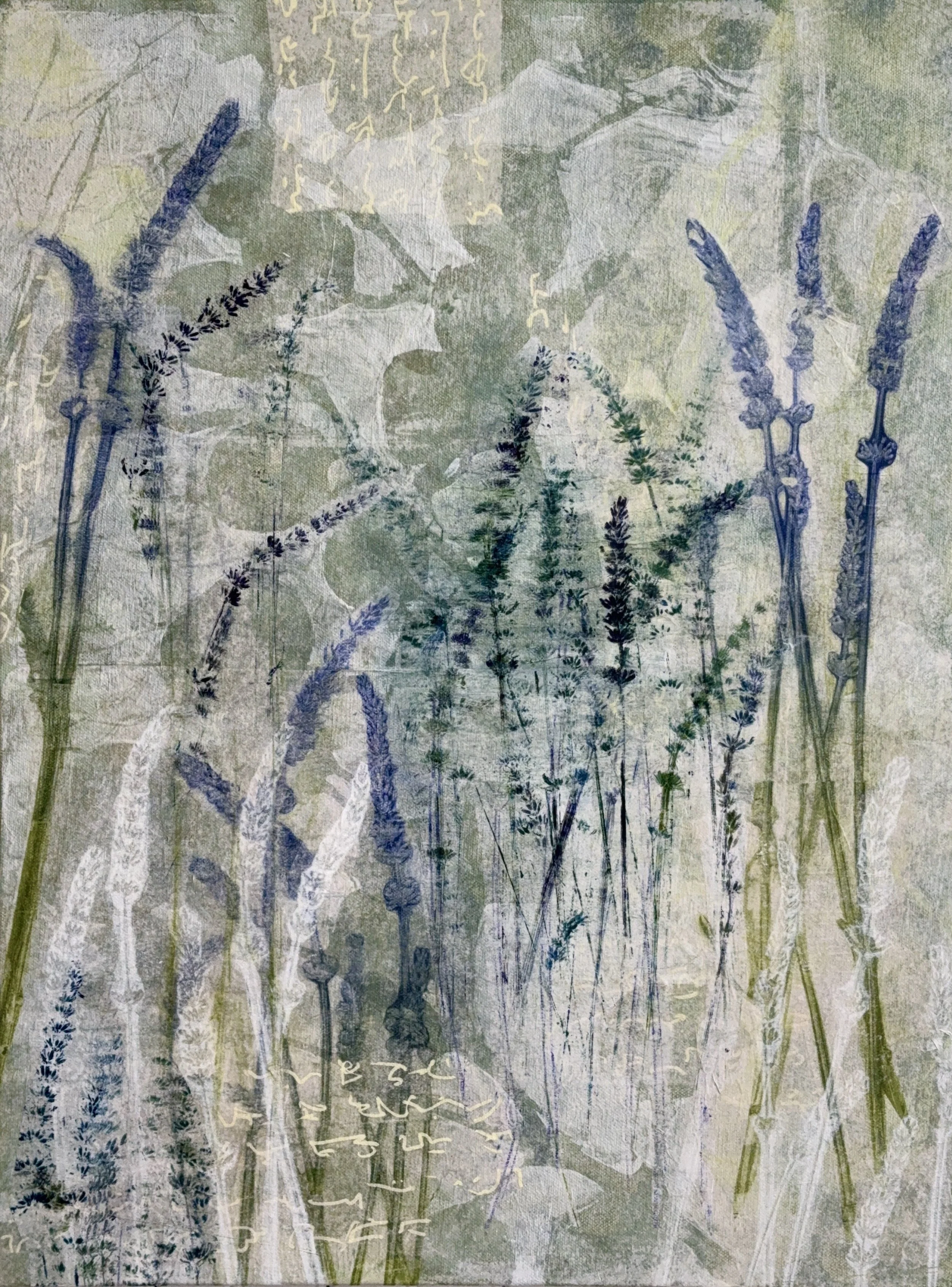 TRANQUIL DANCE 24X18