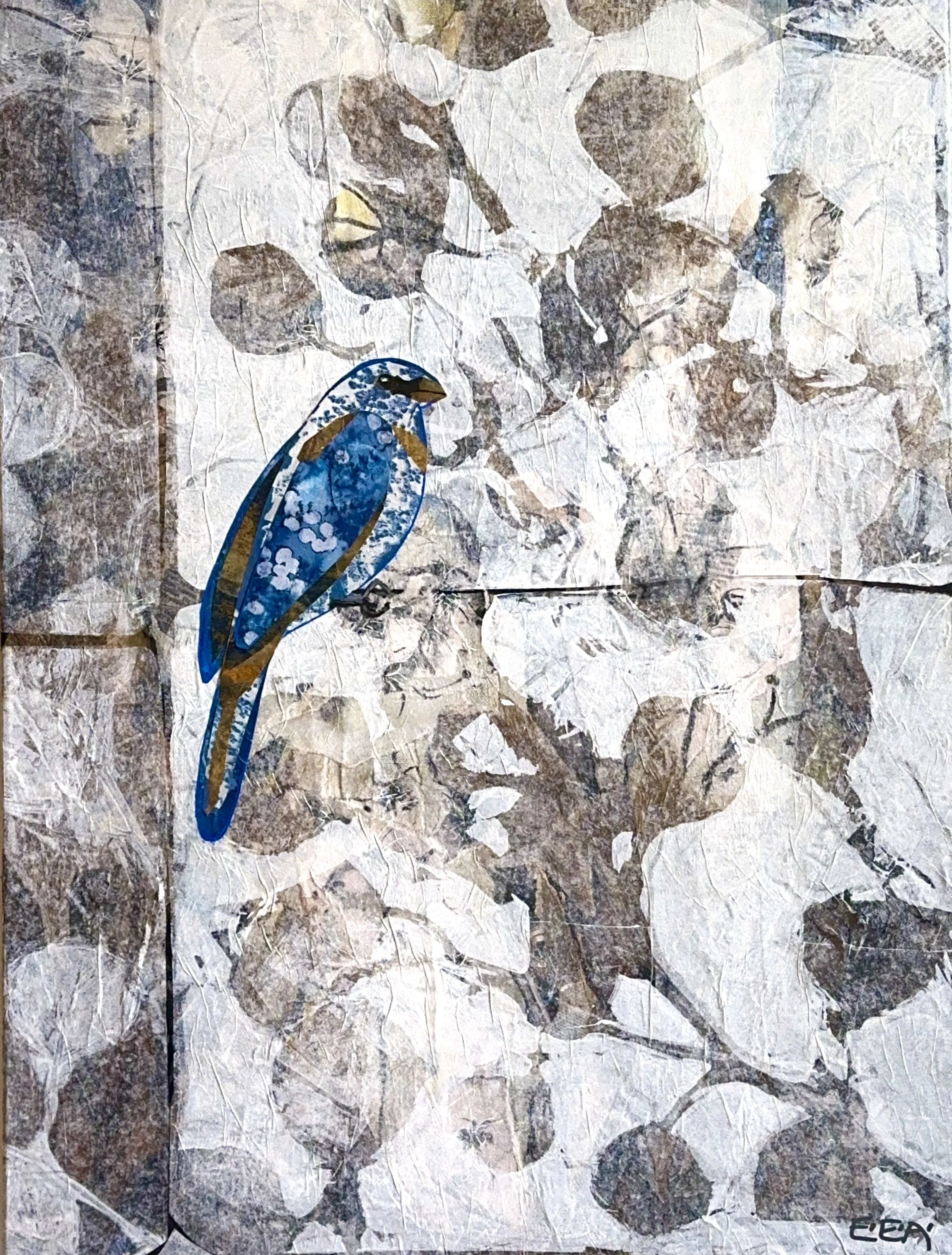 Searching for the Sky