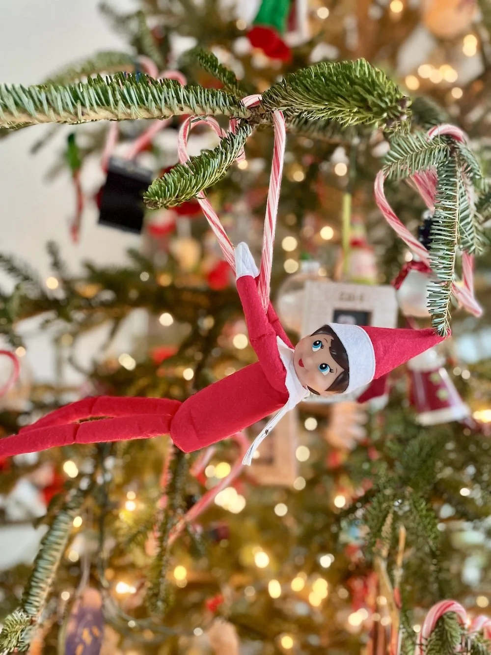 blog4-elf-on-shelf-candy-cane-swing.jpg