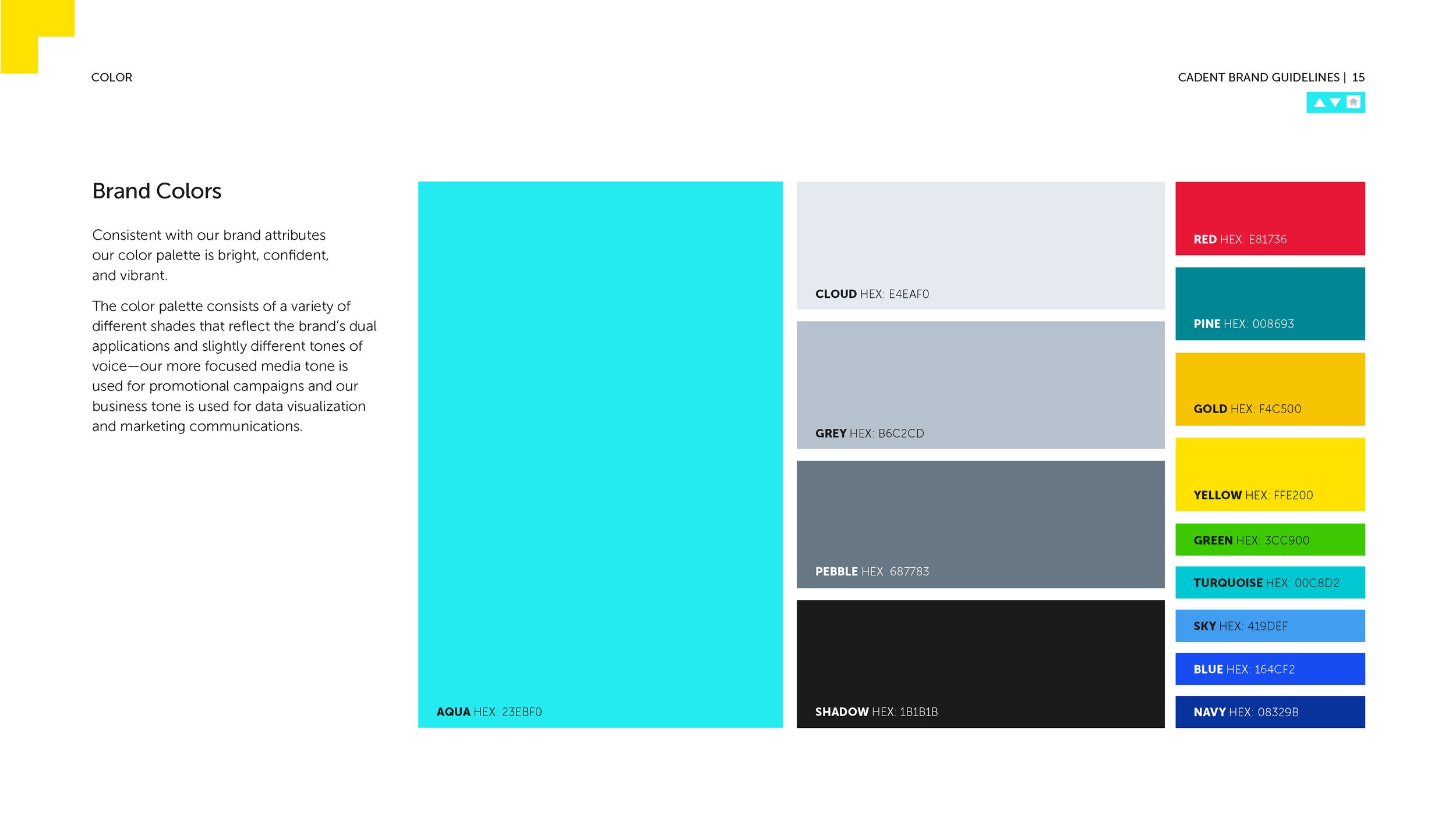 16032_CAD2202_Brand Guidelines_062322_R6_ad_Page_15.jpg