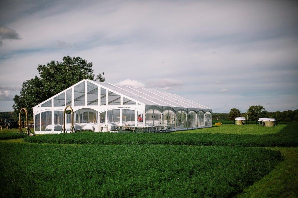 Clear Structure Tent