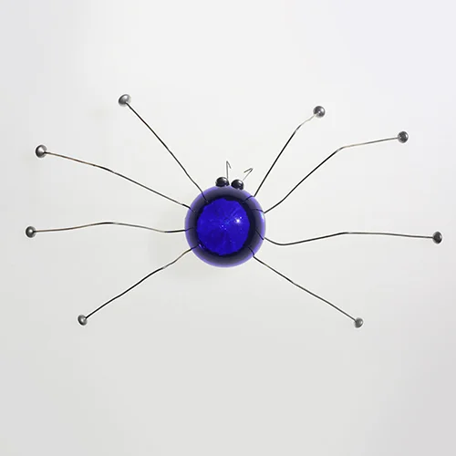 Daddy-Long-Legs – Blue