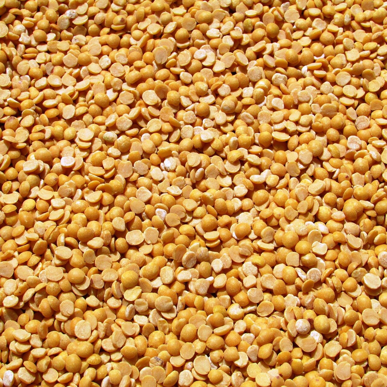 Yellow peas are the source of pea protein powder.