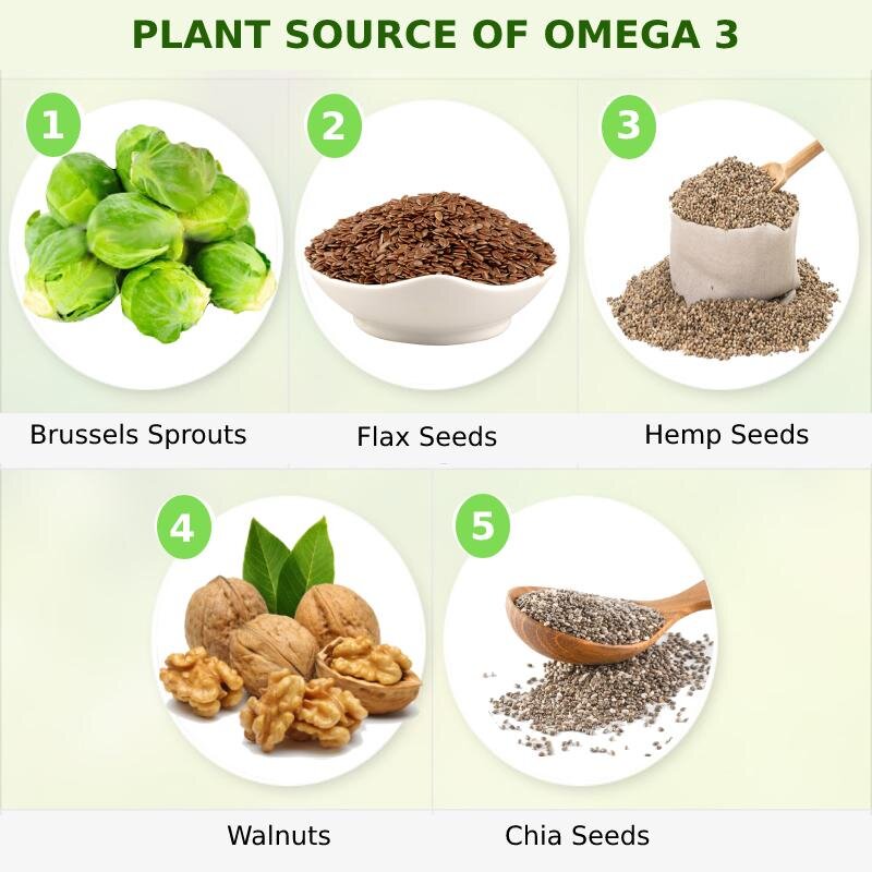 Image from Raw Nutritional. 2019. “5 Best Plant Sources for Vegans to get Omega-3.”