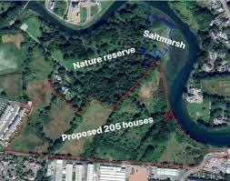 Isle of Man Green Party Raises Concerns Over Proposed Development at Poyll Dooey Fields, Ramsey