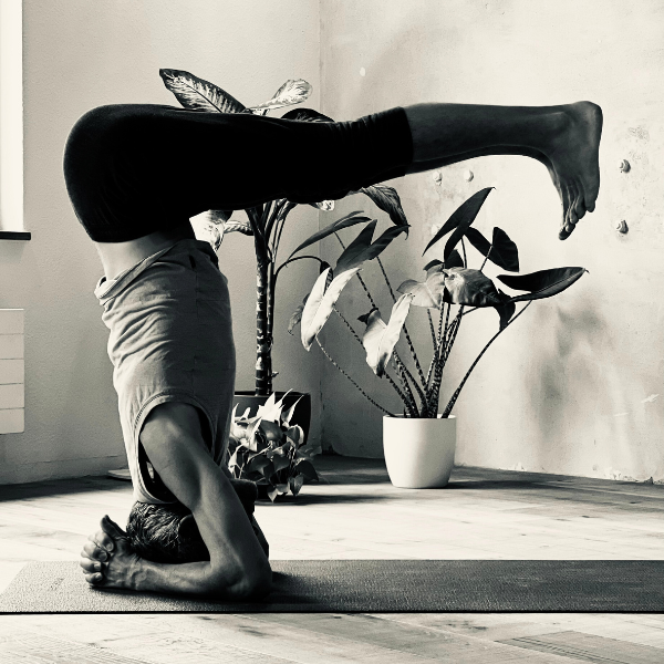 Find your Inversion Series with Sandi