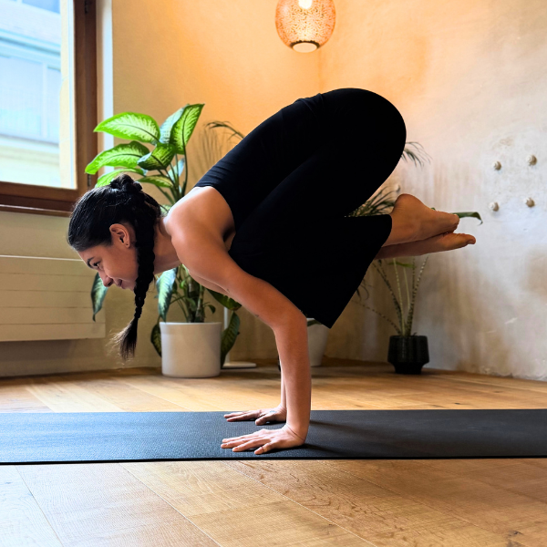 Intro to Arm Balancing with Mahela