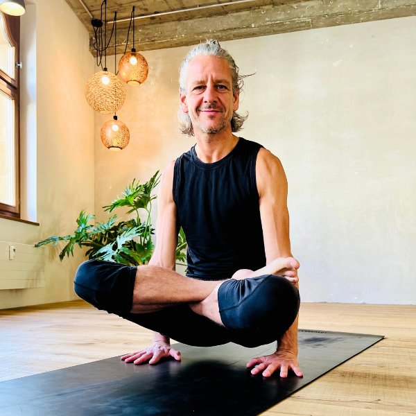 Find your Arm Balance Series with Sandi 