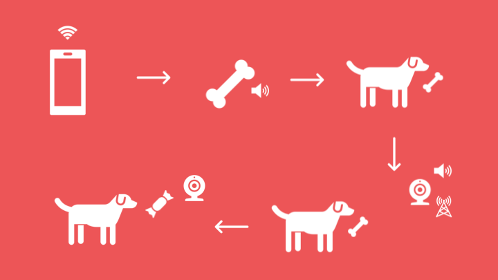 PetPal_journeyMap.png