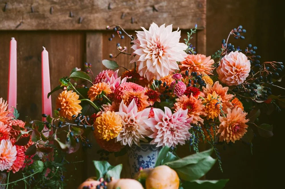 Photography: Sarah Collier