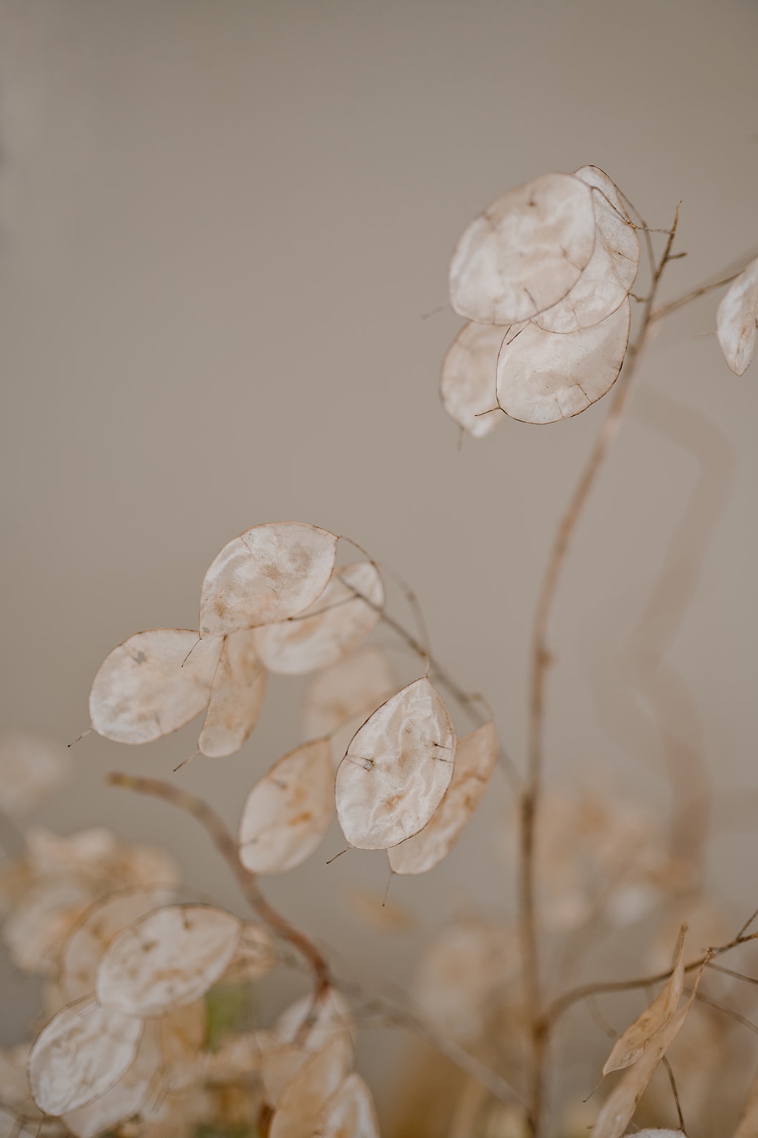 Photography: Nadia Meli