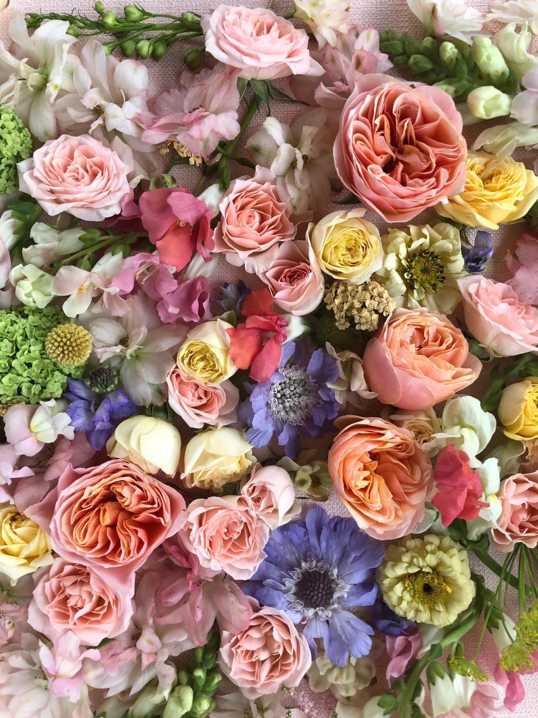 One to One Mentoring.jpeg