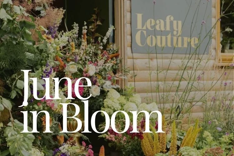 June in Bloom - Monthly newsletter 