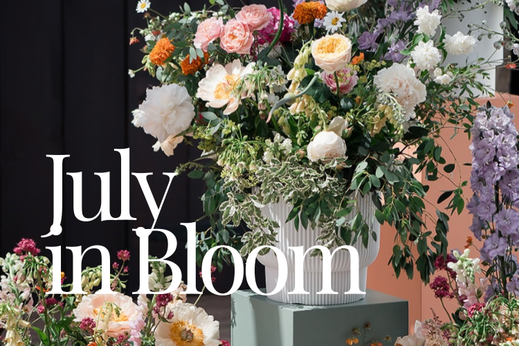 July in Bloom - Monthly newsletter