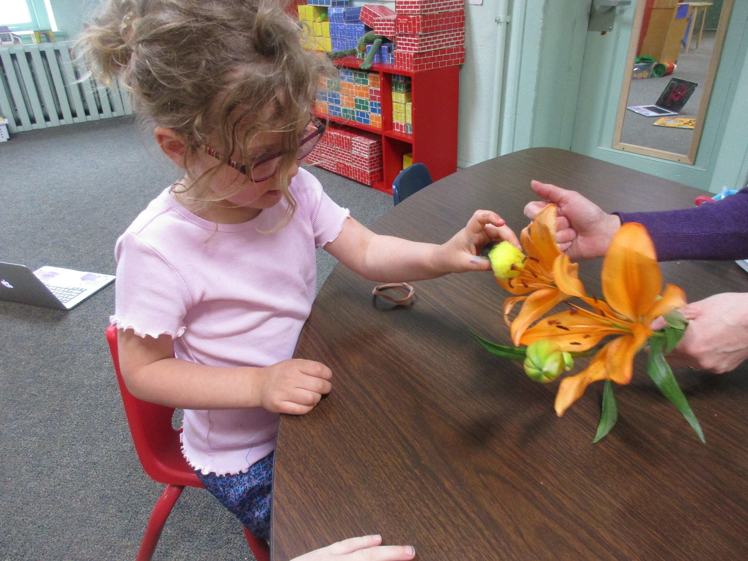 Learning how pollination works