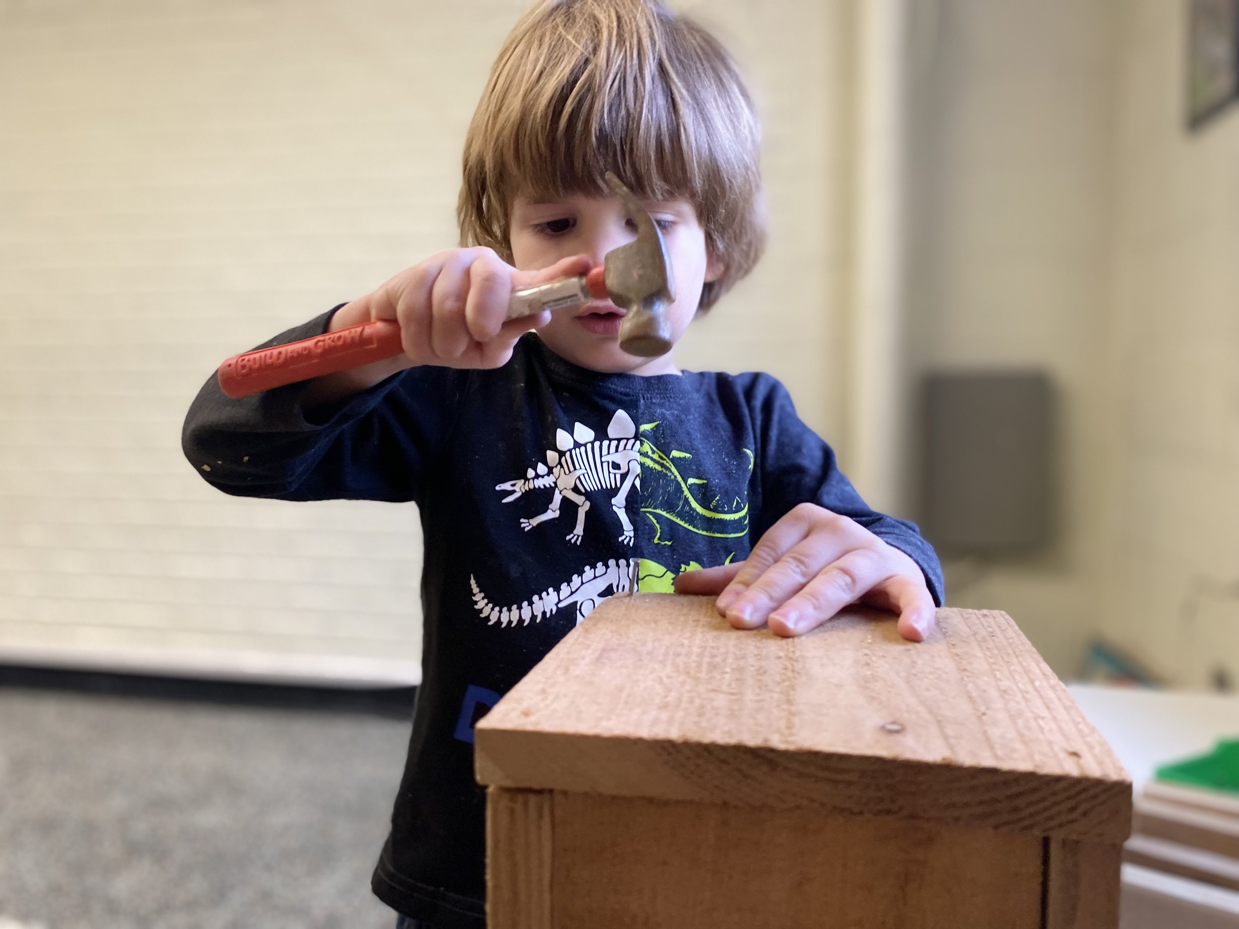 Building a birdhouse