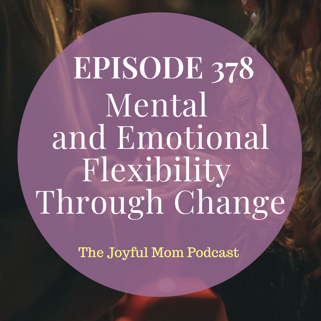 378: Mental and Emotional Flexibility Through Change