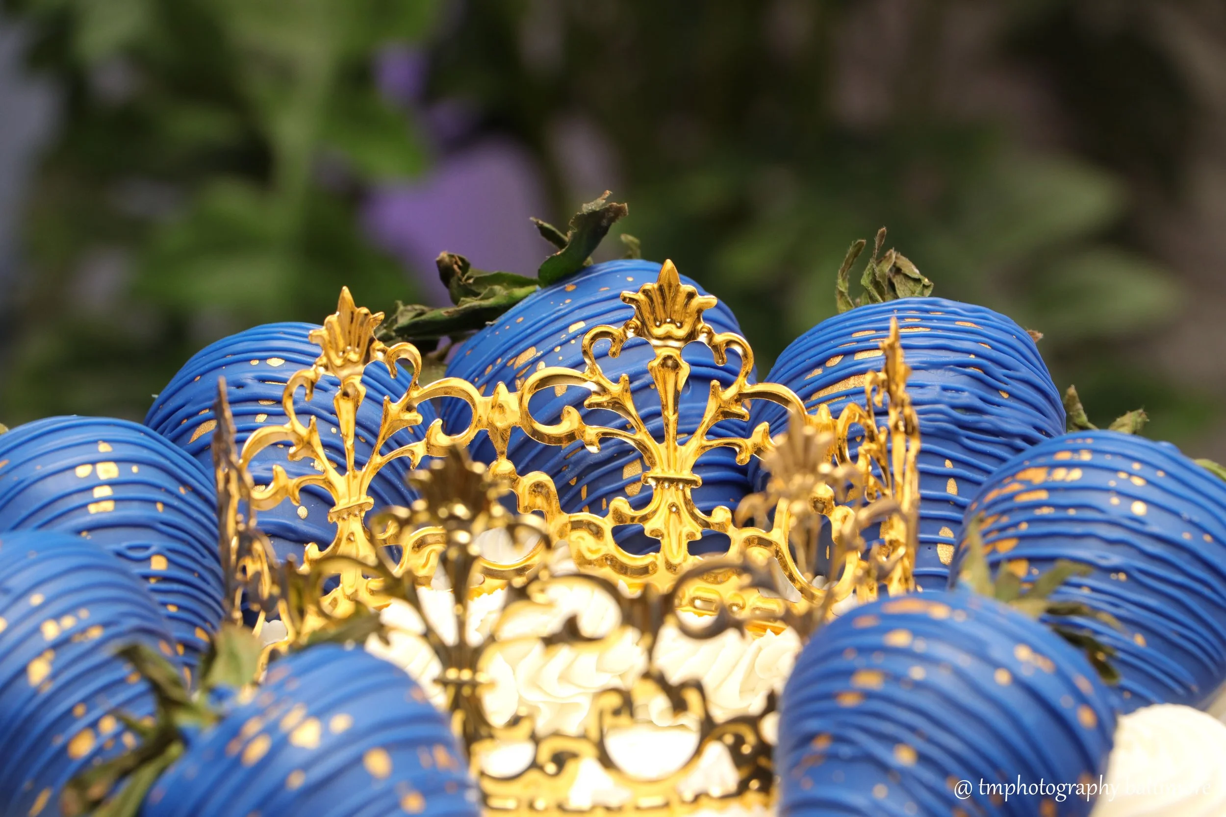 IMG_3350 1-watermarked.jpg