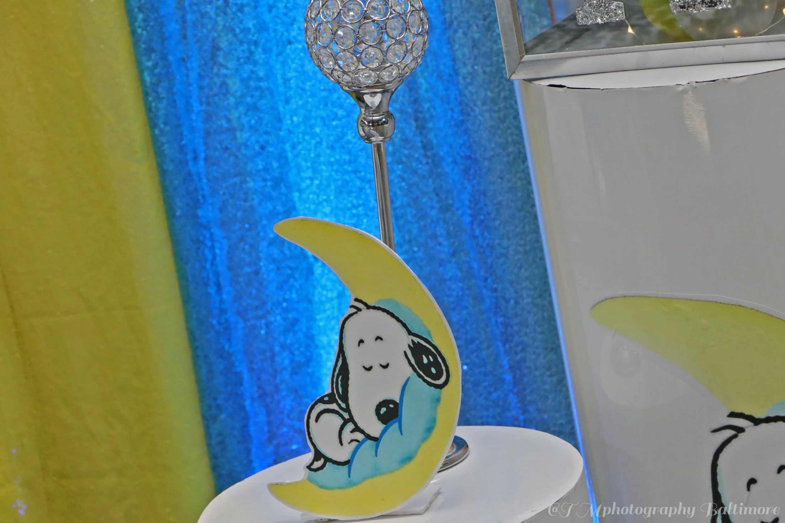IMG_7463 1-watermarked.jpg