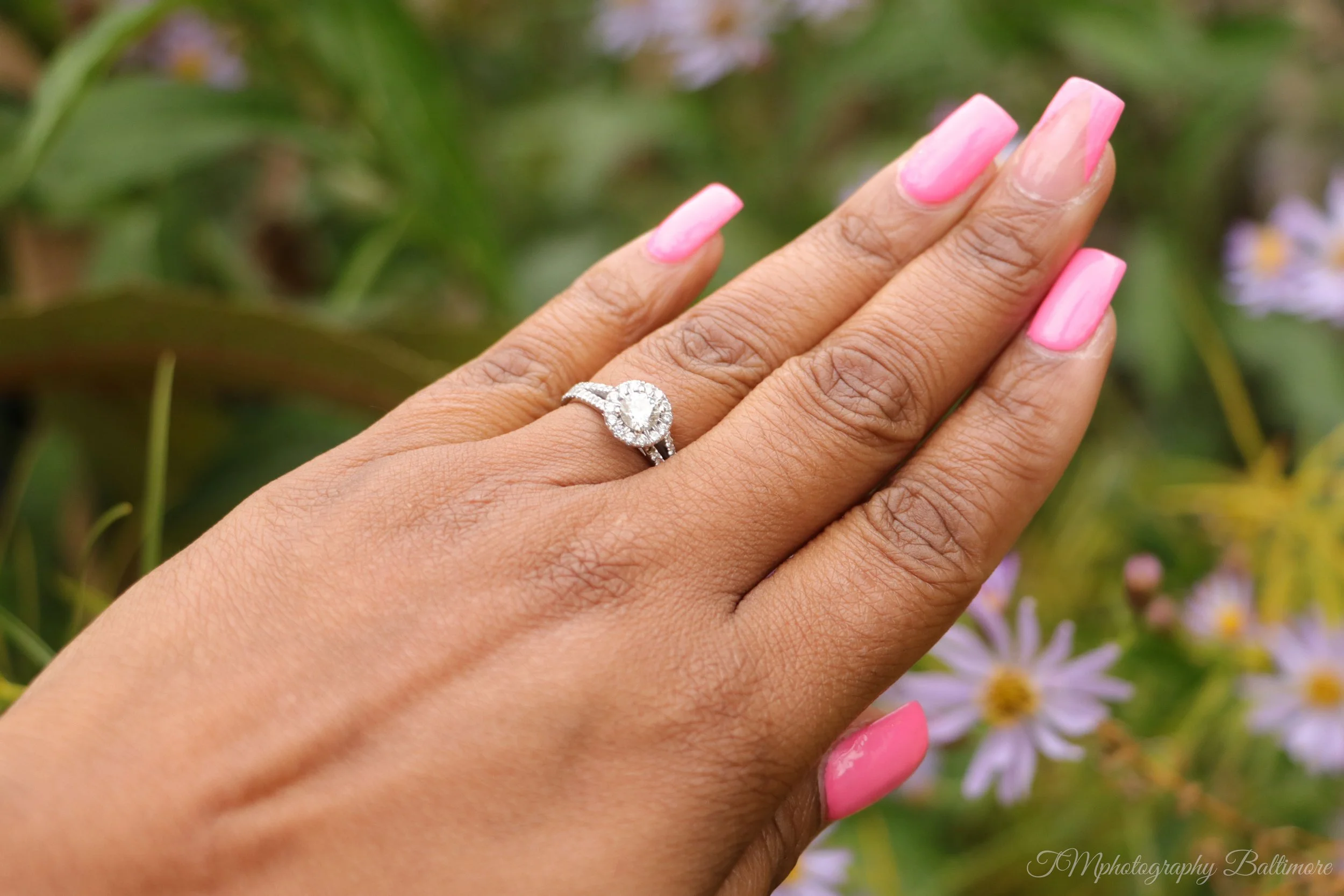 IMG_2559 1-watermarked.jpg