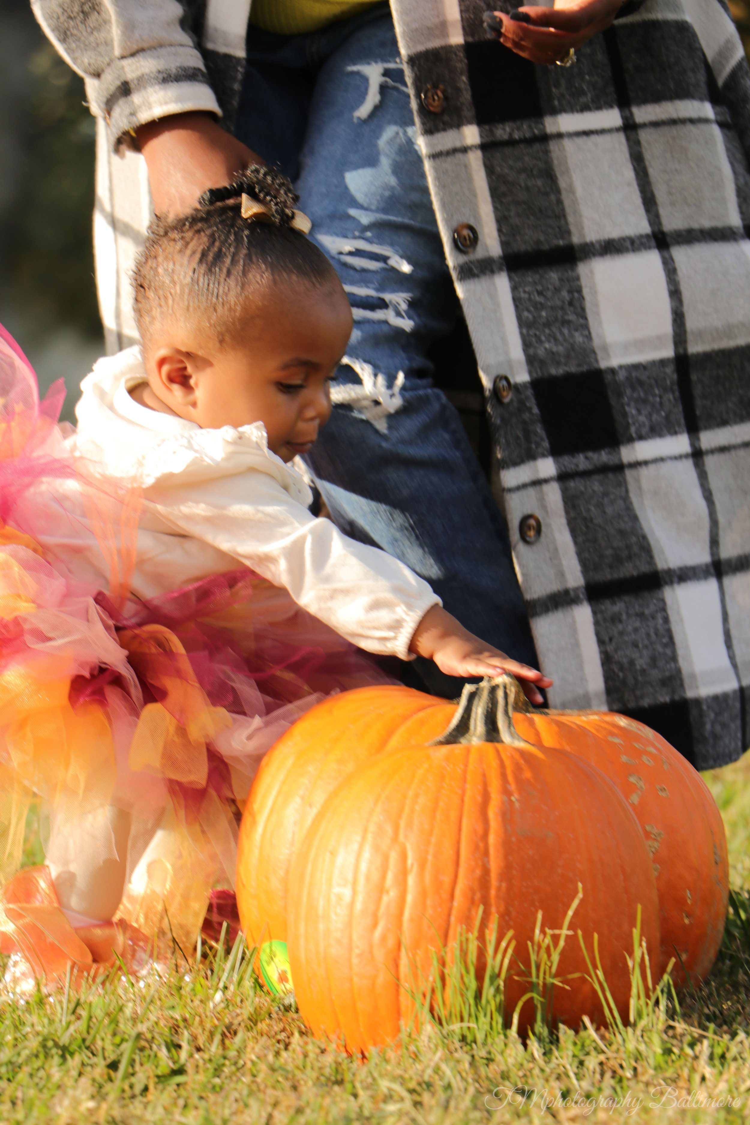 IMG_3450 1-watermarked.jpg