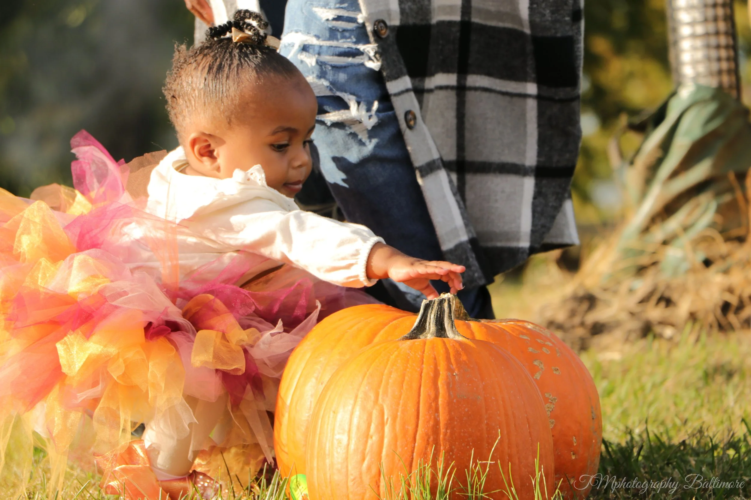 IMG_3453 1-watermarked.jpg