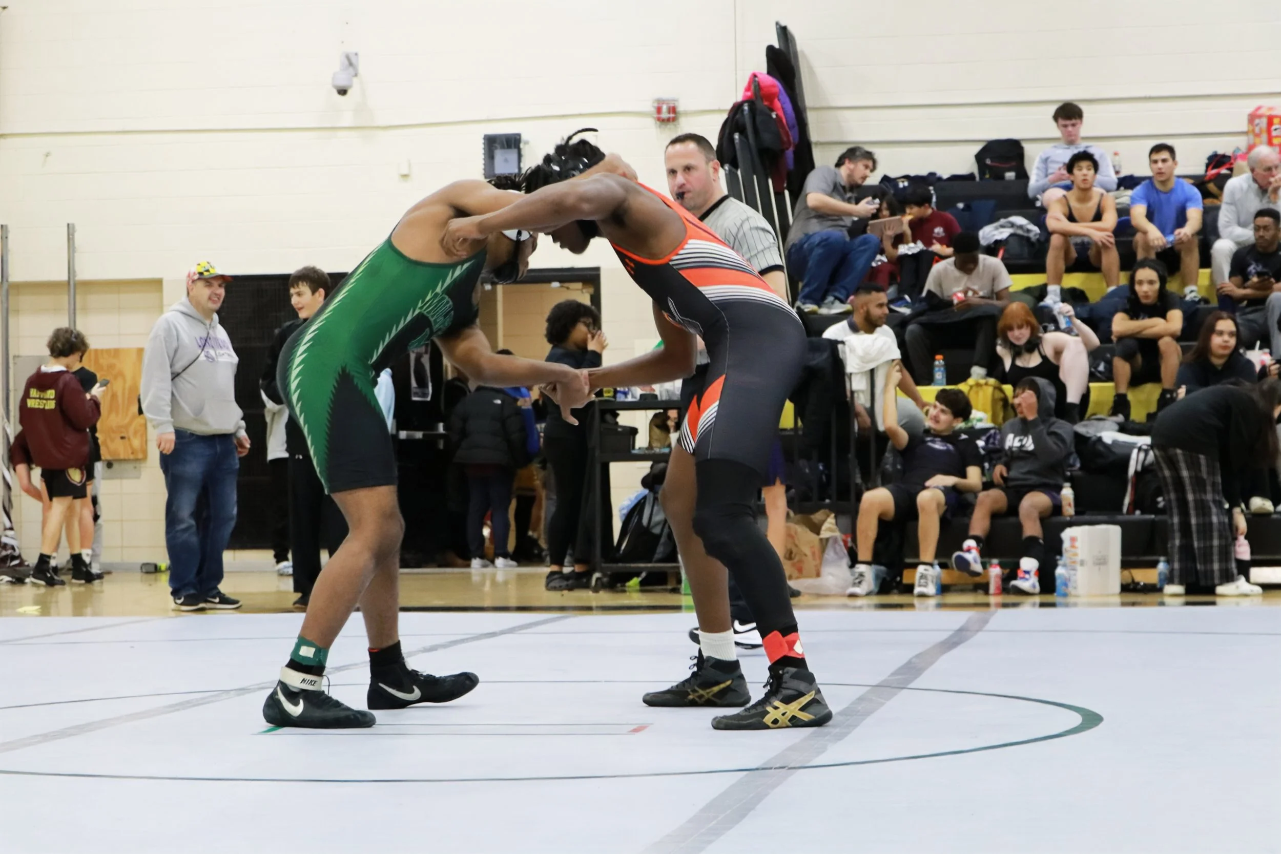 IMG_4901 1.jpg