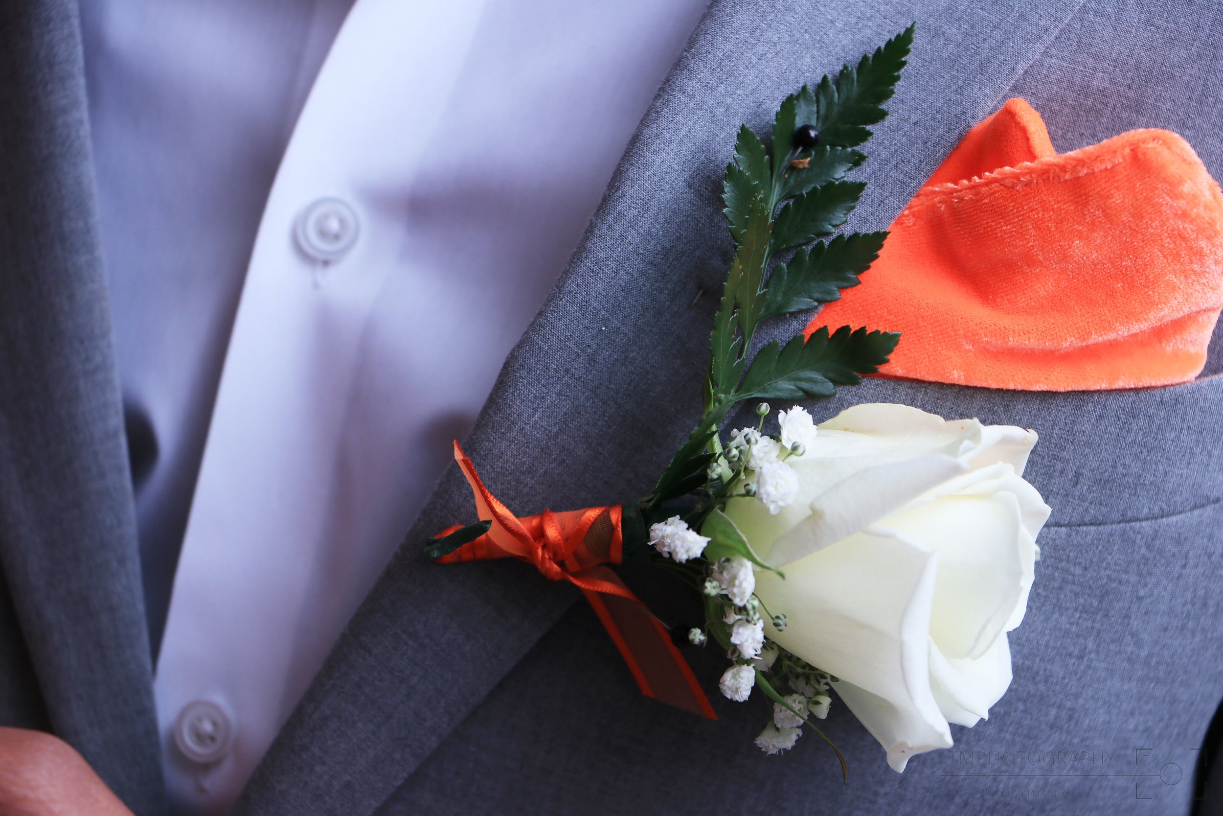 IMG_7801 1-watermarked.jpg