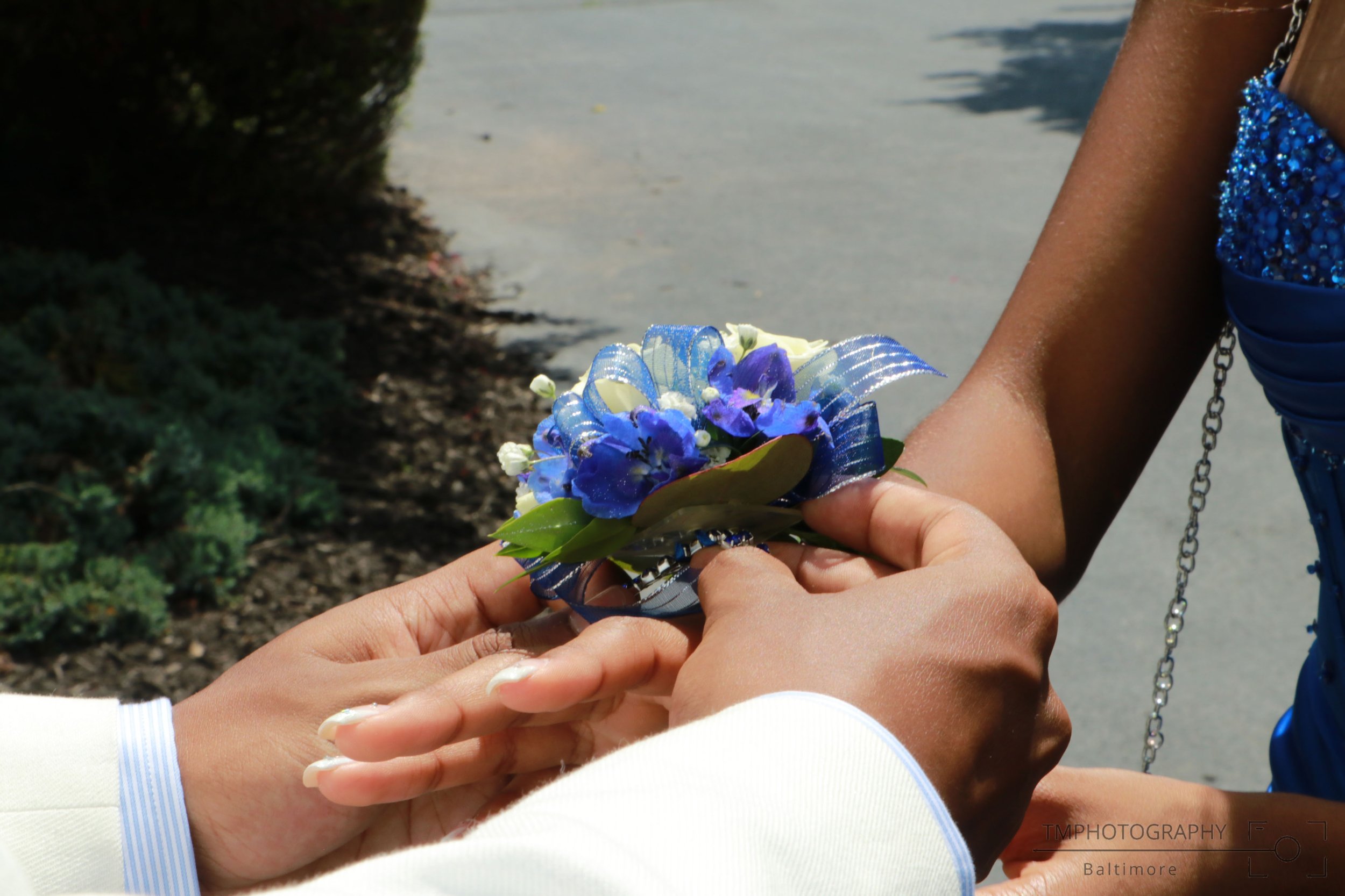 IMG_1103 1-watermarked.jpg