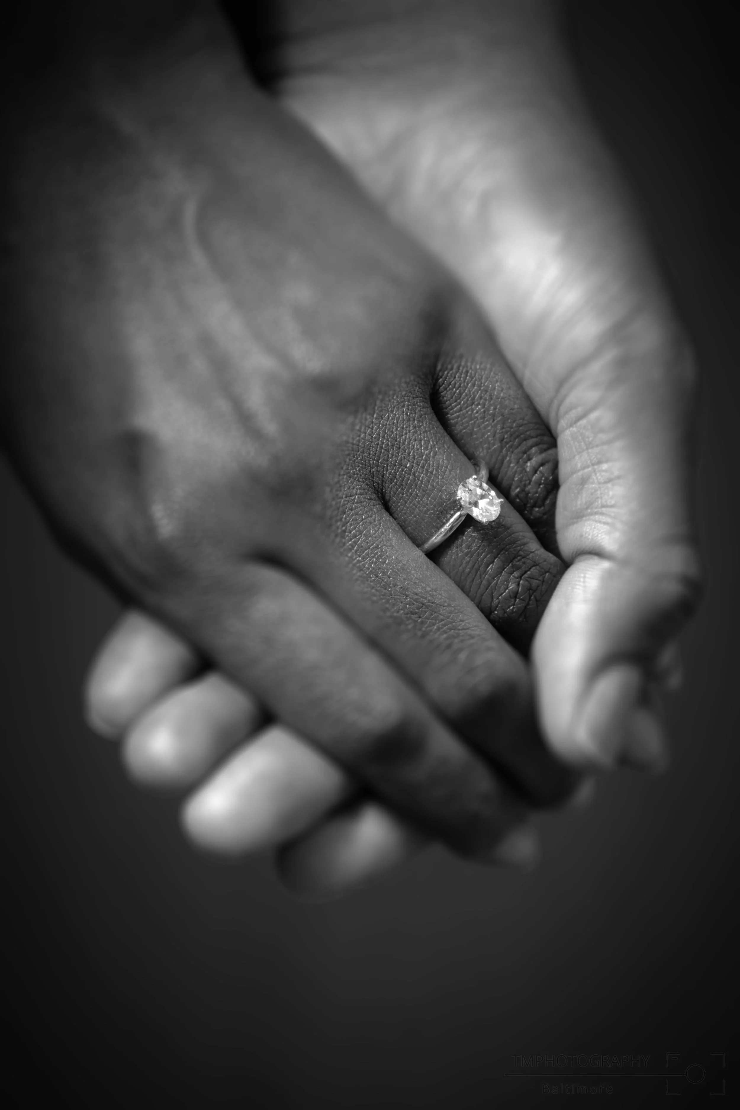 IMG_3608 1 bw-TMPB.jpg