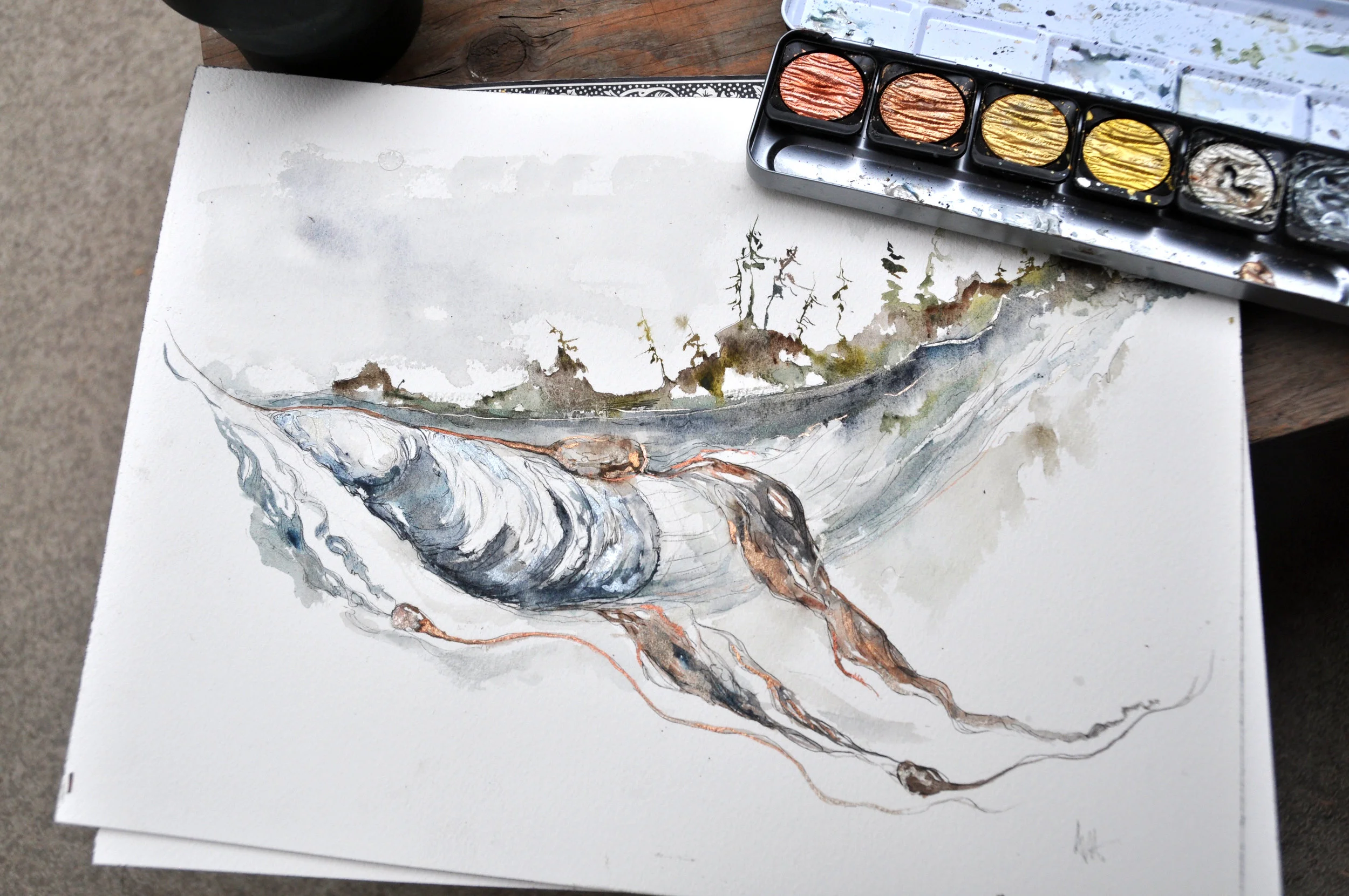 Mussel Underbelly (Available for Purchase)