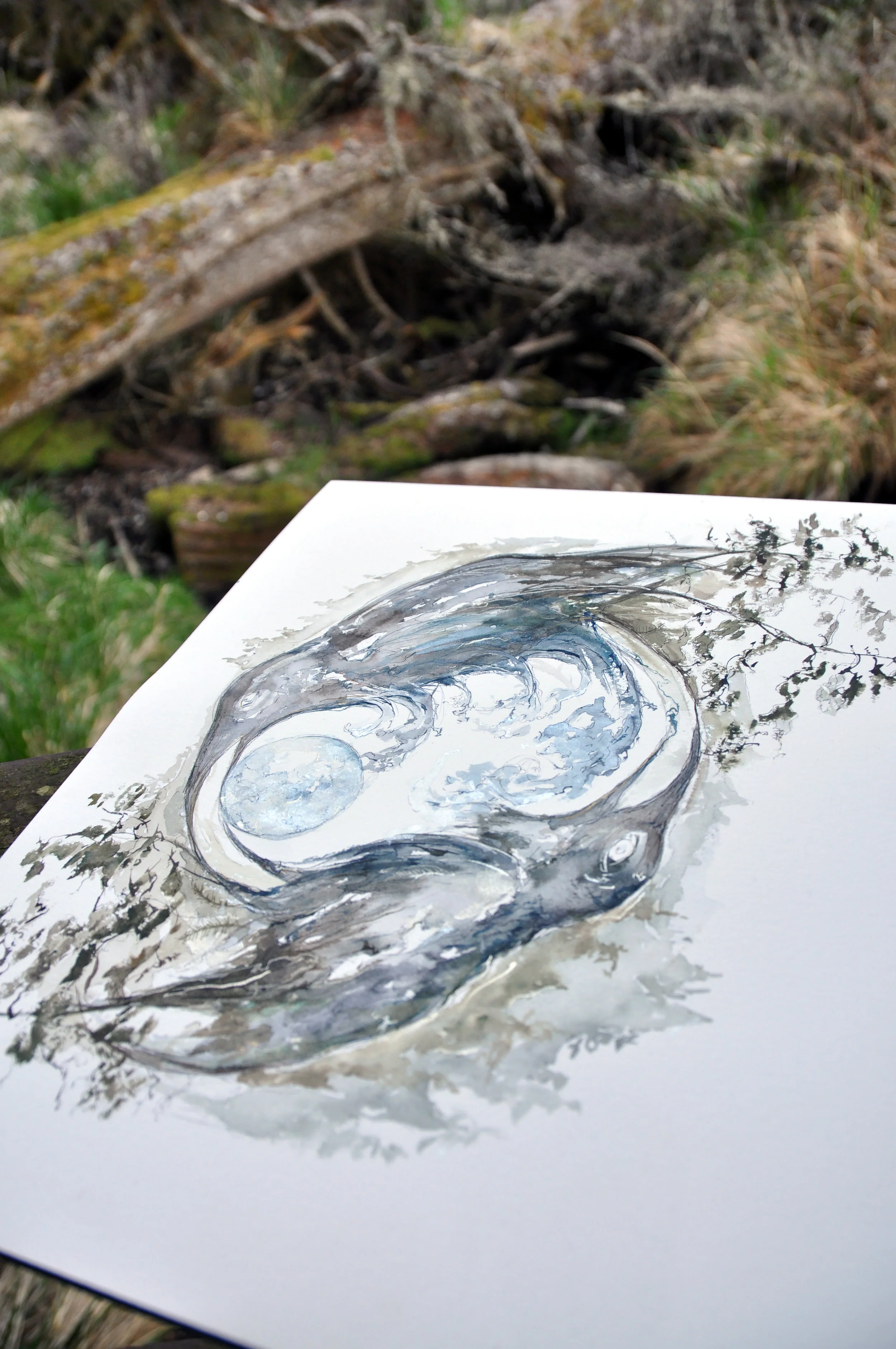 Raven Circle of Light (Available for Purchase)