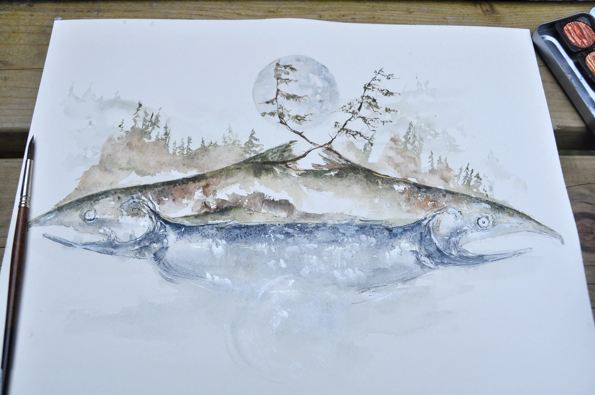 Wild Salmon Reflection (Available for Purchase)