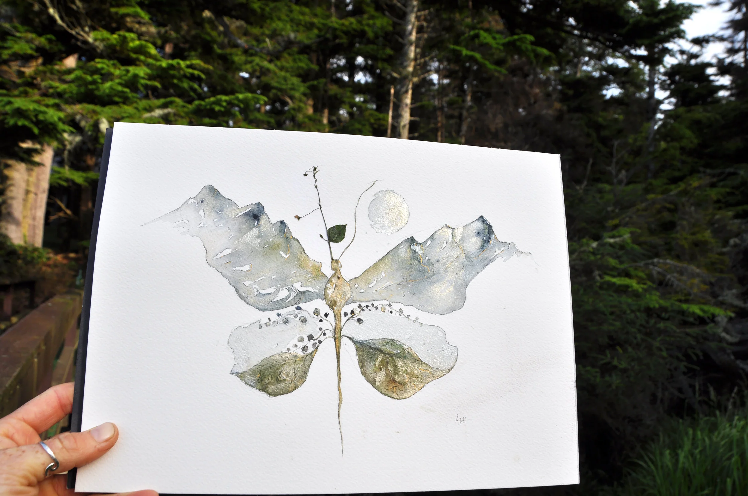 La Mariposa