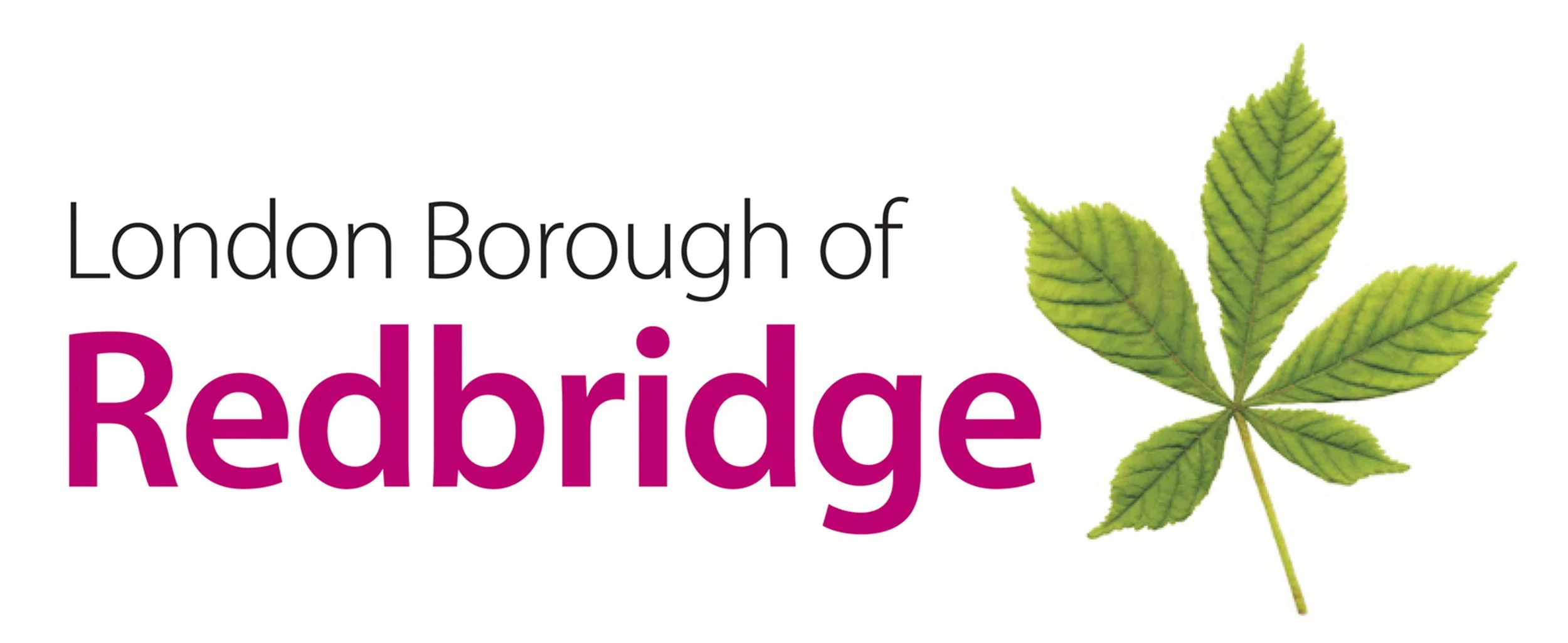 LB Redbridge full colour logo for Print HR (1).jpg