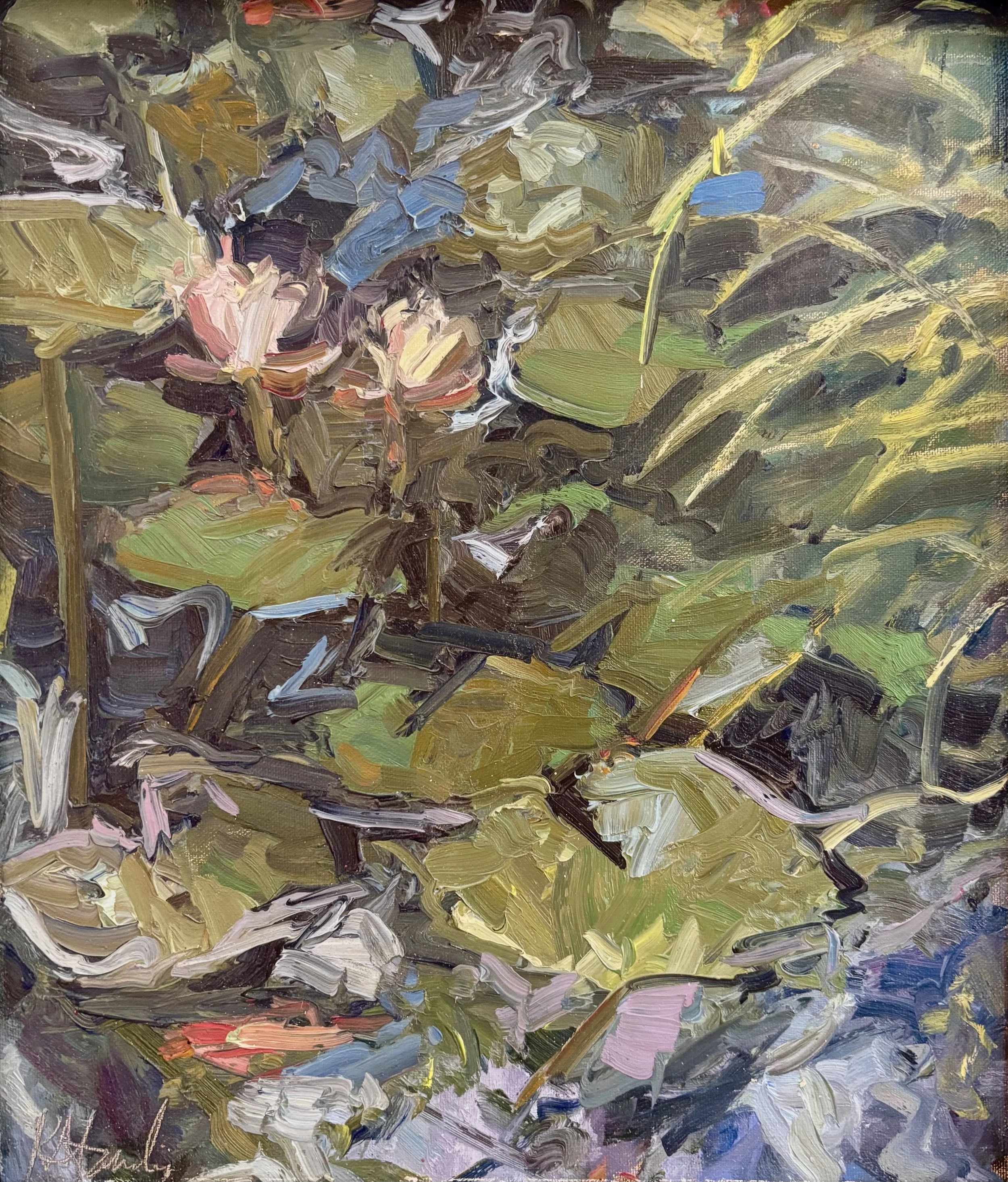 Backyard Koi Pond